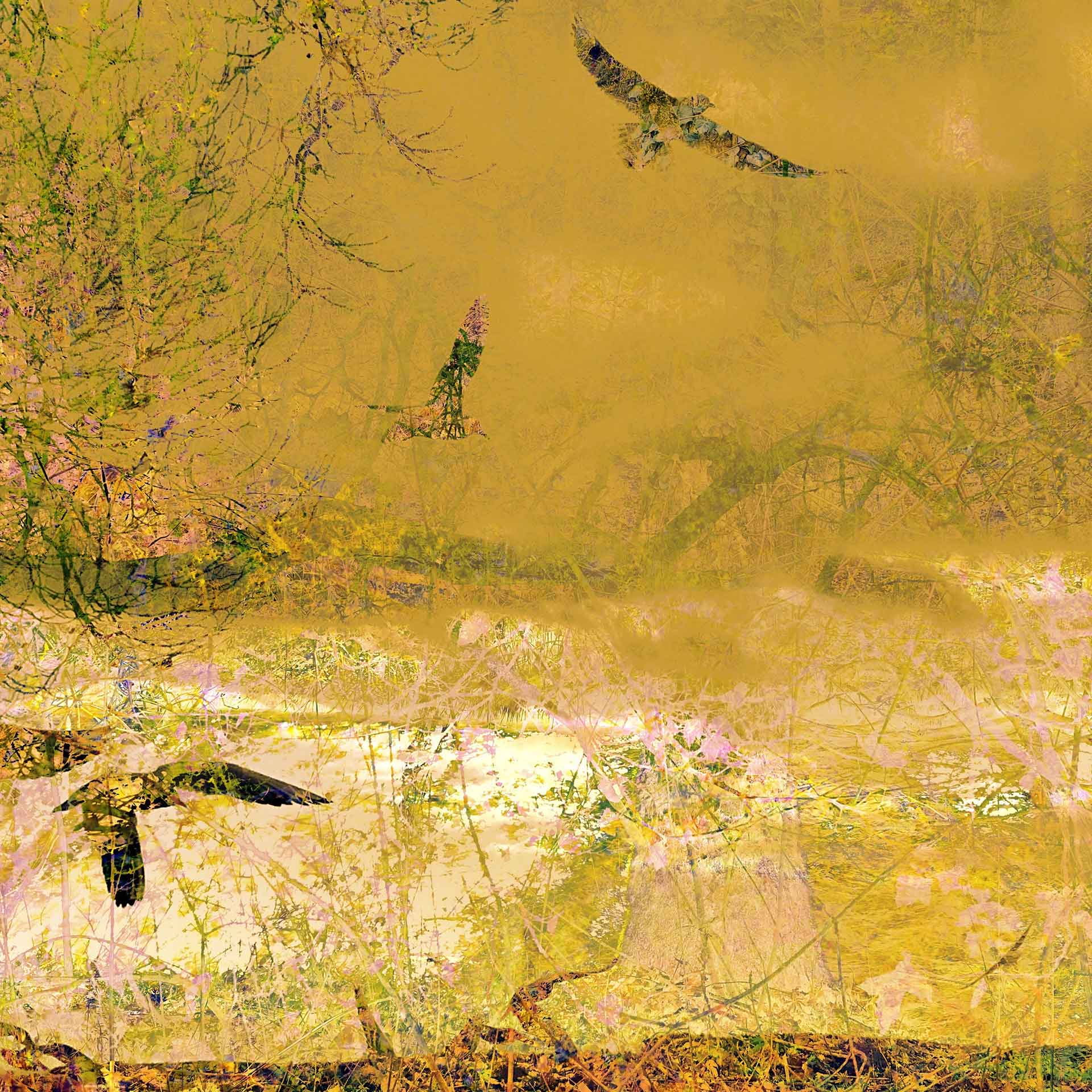Züzü Art Erster Frühling